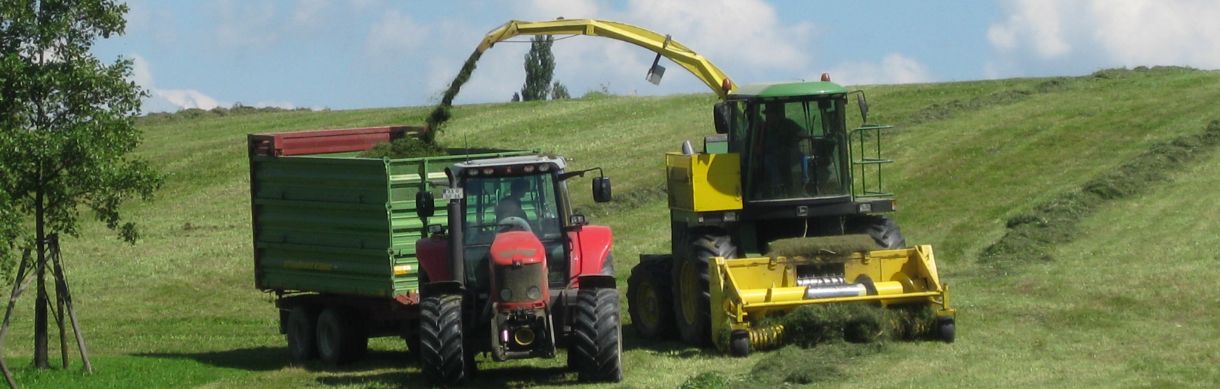 Silagebereitung, Bild: Hermann Wiest