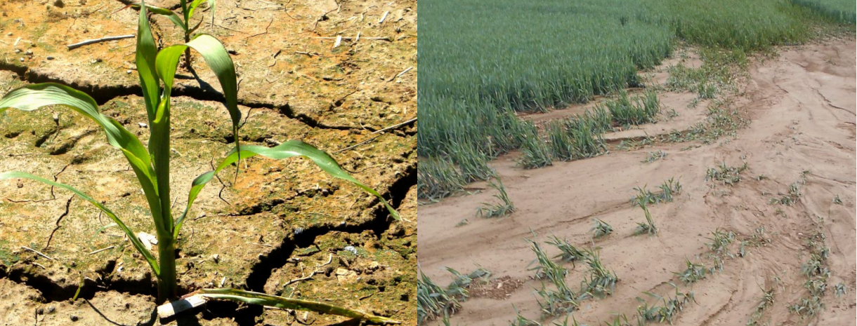 Titelbild_Landinfo_1_2026_Wasser im Klimawandel