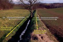 Gewässerrandstreifen; Bild Andreas Dölz MLR