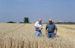 Beratungsgespräch auf einem Getreidefeld; Bild Christine Leppert LEL