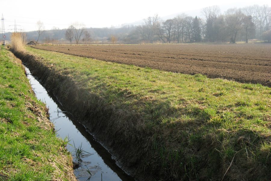 Gewässerrandstreifen