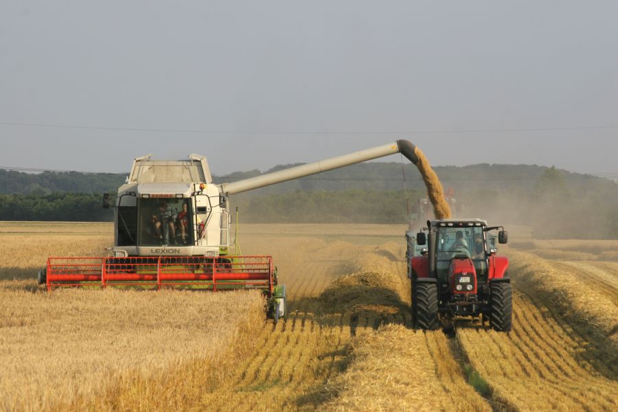 Mähdrescher; Bild Elke Lehnert