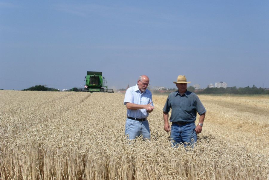Beratungsgespräch auf einem Getreidefeld; Bild Christine Leppert LEL