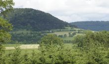 Alte Ackerraine mit Hecken auf der Ostalb: Bild Susanne Mezger, LEL