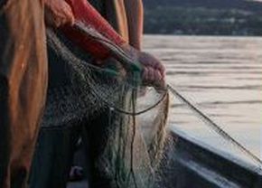 Bodenseefischerrei, Fischer mit Fischernetz