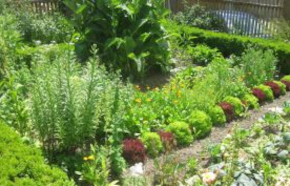 Bauerngarten Mosesmühle Bächlingen; Bild Hermann Wiest LEL