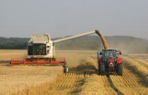 Getreideernte; Bild Elke Lehnert