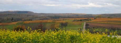 Landschaft; Bild Ingrid Vogt LRA Ludwigsburg Fotowettbewerb Landinfo 2014