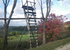 Hochsitz; Bild Susanne Mezger LEL