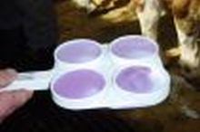 Eutergesundheit; Bild LAZBW Aulendorf