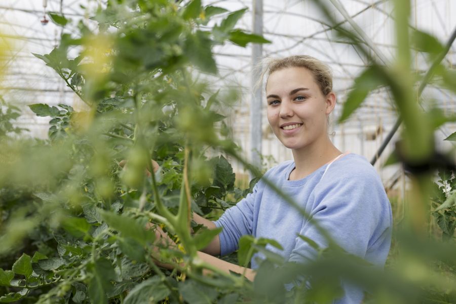 Ausbidlungsberuf Pflanzentechnolog*in Bild © MLR/Potente