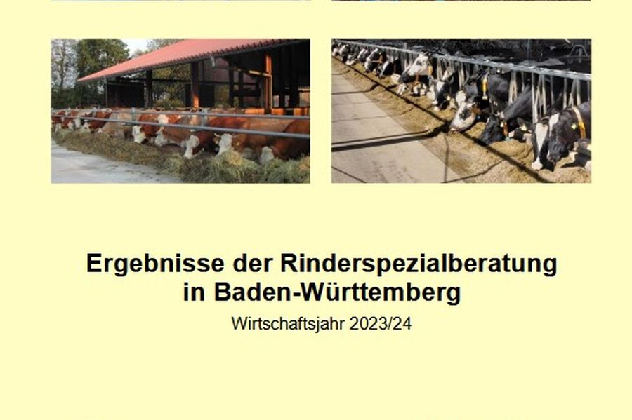 Deckblatt der Broschüre Rinderreport; Bild LEL