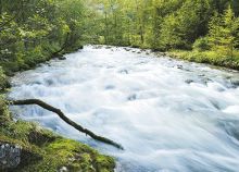 Landschaft Gewässer