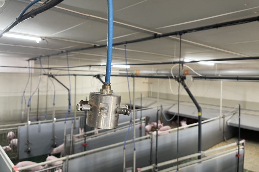 Animal Welfare, LSZ Boxberg