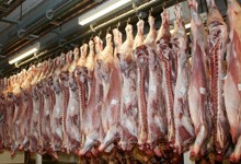 Fleischhälften; Bild B.Stetter