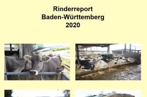 Deckblatt der Broschüre Rinderreport; Bild LEL