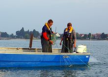 Fischer auf einem Boot, Bodenseefischerei
