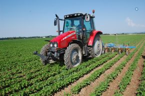 Schlepper mit Hacke im Sojafeld; Bild Andreas Dölz MLR