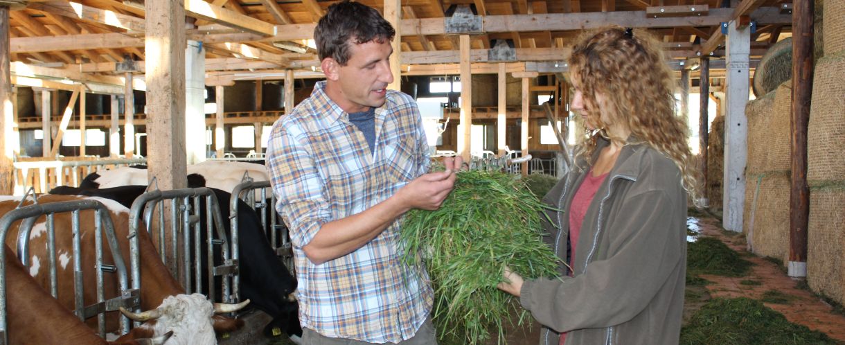 Optische Prüfung von Futter; Bild Susanne Mezger LEL