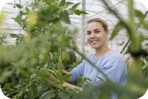 Ausbidlungsberuf Pflanzentechnolog*in Bild © MLR/Potente