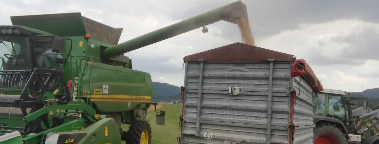 Mähdrescher und Erntewagen
