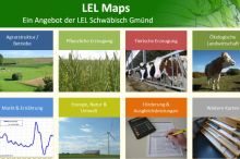 Karten zur Rinderhaltung in Baden-Württemberg