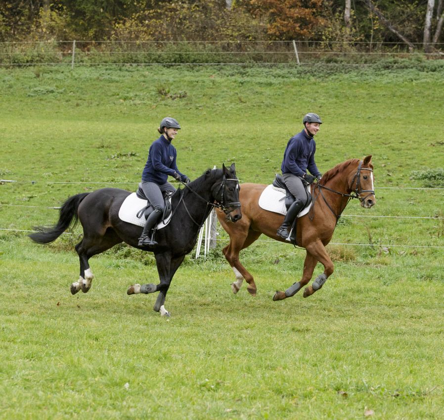 Ausbildungsberuf Pferdewirt*in, Bild: Jan Potente