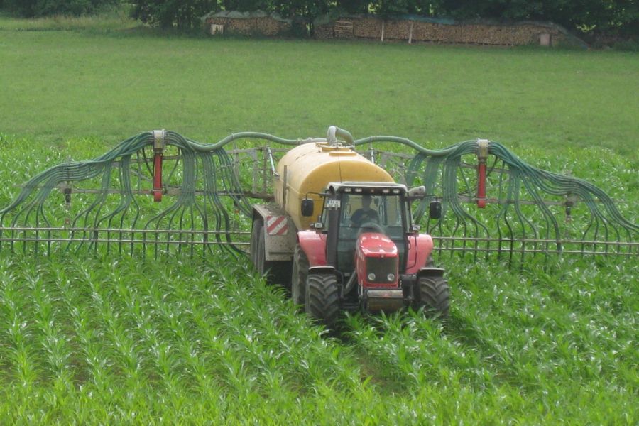  Düngung mit Schleppschlauch im Mais; Bild H.Wiest