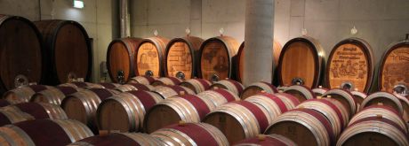 Fasslager LVWO Weinsberg Achim Bader LEL